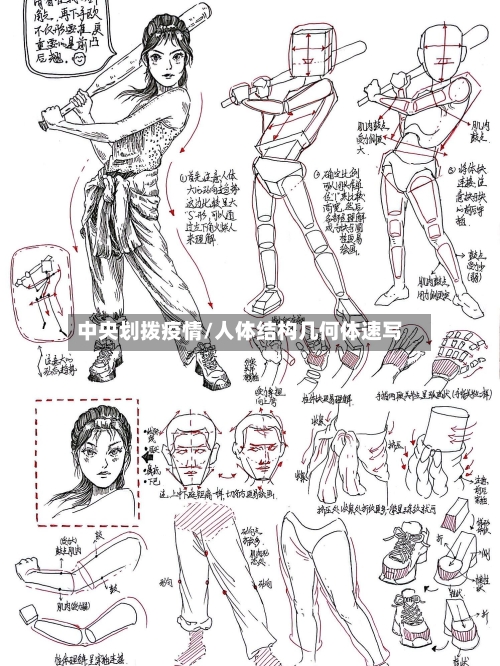 中央划拨疫情/人体结构几何体速写-第2张图片