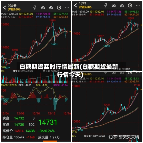 白糖期货实时行情最新(白糖期货最新行情今天)