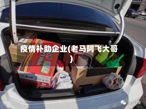 疫情补助企业(老马阿飞大哥)