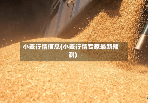 小麦行情信息(小麦行情专家最新预测)-第2张图片
