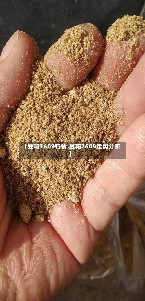 【豆粕1609行情,豆粕2609走势分析】