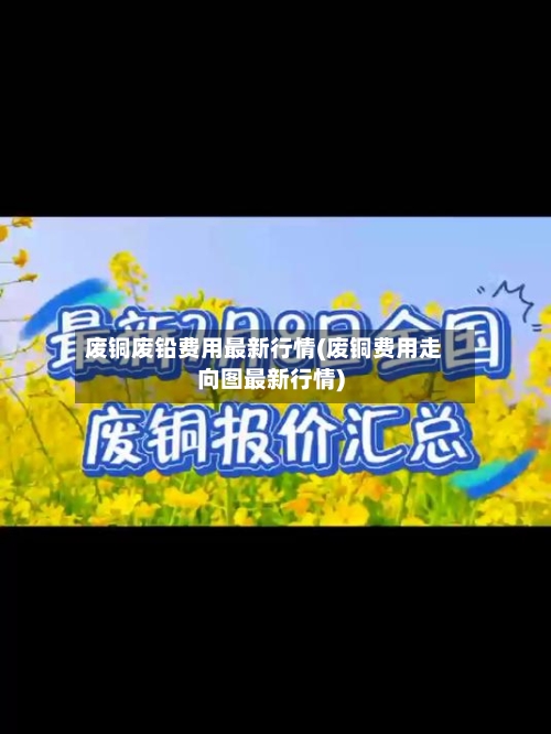 废铜废铅费用最新行情(废铜费用走向图最新行情)