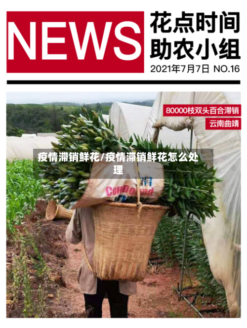 疫情滞销鲜花/疫情滞销鲜花怎么处理-第2张图片