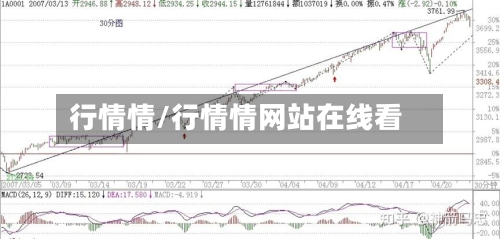 行情情/行情情网站在线看-第2张图片
