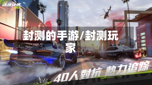 封测的手游/封测玩家