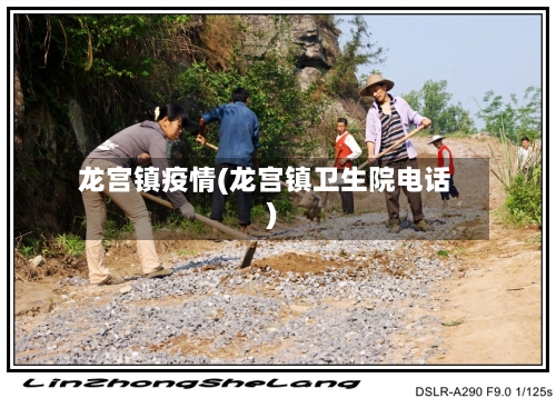 龙宫镇疫情(龙宫镇卫生院电话)-第2张图片