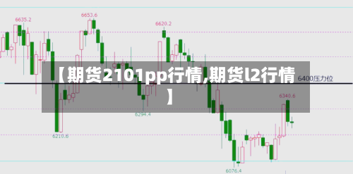 【期货2101pp行情,期货l2行情】