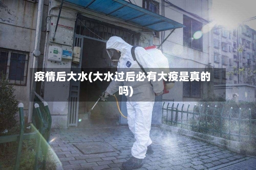 疫情后大水(大水过后必有大疫是真的吗)-第2张图片
