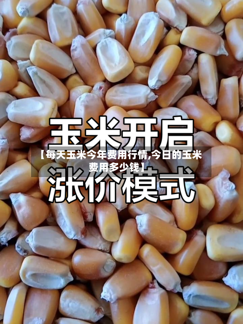 【每天玉米今年费用行情,今日的玉米费用多少钱】