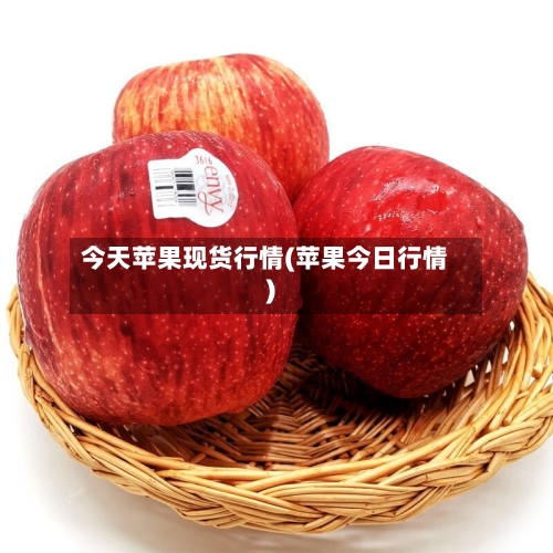 今天苹果现货行情(苹果今日行情)