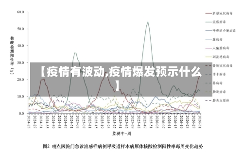 【疫情有波动,疫情爆发预示什么】-第3张图片