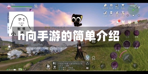 h向手游的简单介绍