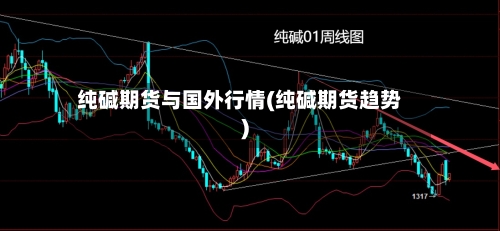 纯碱期货与国外行情(纯碱期货趋势)