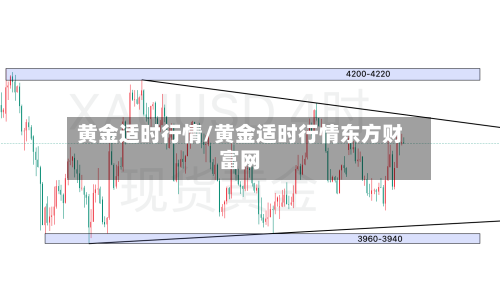 黄金适时行情/黄金适时行情东方财富网