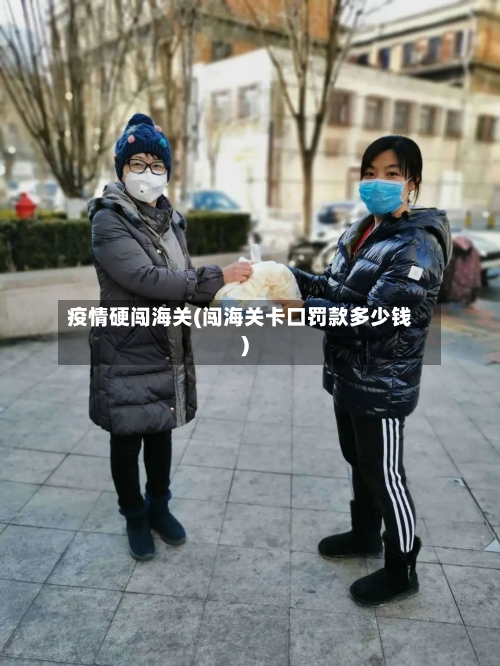 疫情硬闯海关(闯海关卡口罚款多少钱)-第2张图片