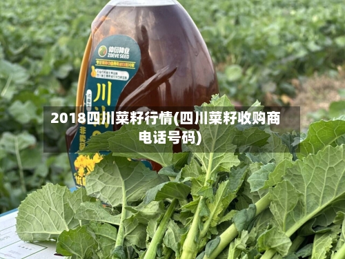2018四川菜籽行情(四川菜籽收购商电话号码)-第2张图片