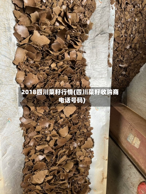 2018四川菜籽行情(四川菜籽收购商电话号码)