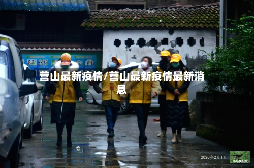 营山最新疫情/营山最新疫情最新消息-第2张图片