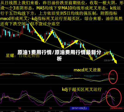 原油1费用行情/原油费用行情最新分析