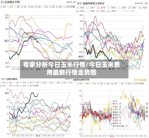 专家分析今日玉米行情/今日玉米费用最新行情走势图-第2张图片