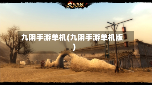 九阴手游单机(九阴手游单机版)