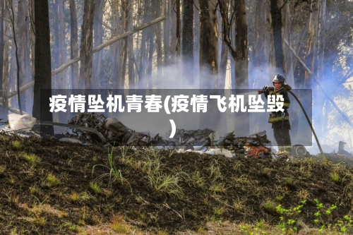 疫情坠机青春(疫情飞机坠毁)-第3张图片