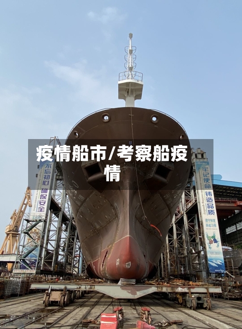 疫情船市/考察船疫情-第3张图片