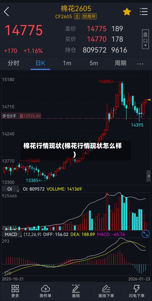 棉花行情现状(棉花行情现状怎么样)-第2张图片