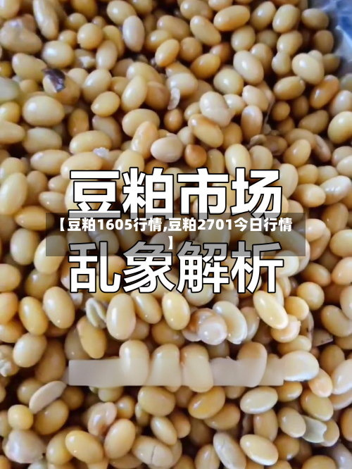 【豆粕1605行情,豆粕2701今日行情】-第3张图片