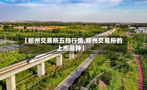 【郑州交易所五档行情,郑州交易所的上市品种】