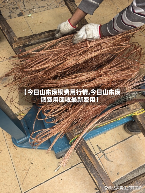 【今日山东废铜费用行情,今日山东废铜费用回收最新费用】-第2张图片