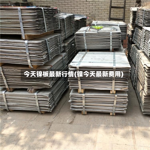 今天镍板最新行情(镍今天最新费用)-第2张图片