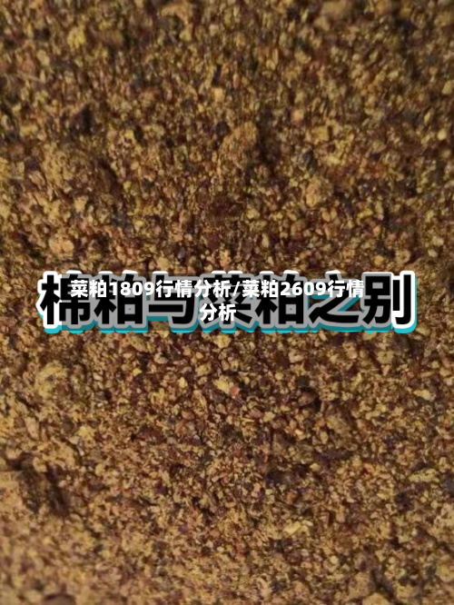菜粕1809行情分析/菜粕2609行情分析-第3张图片