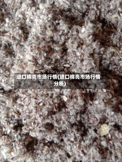 进口棉壳市场行情(进口棉壳市场行情分析)