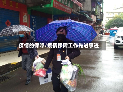 疫情的保障/疫情保障工作先进事迹