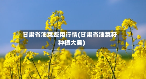 甘肃省油菜费用行情(甘肃省油菜籽种植大县)