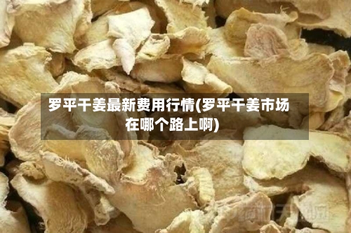 罗平干姜最新费用行情(罗平干姜市场在哪个路上啊)-第2张图片
