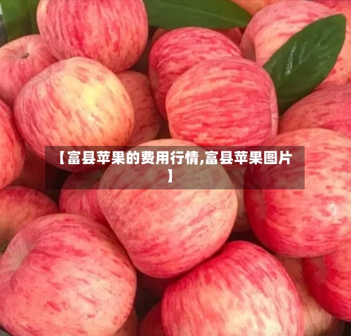 【富县苹果的费用行情,富县苹果图片】