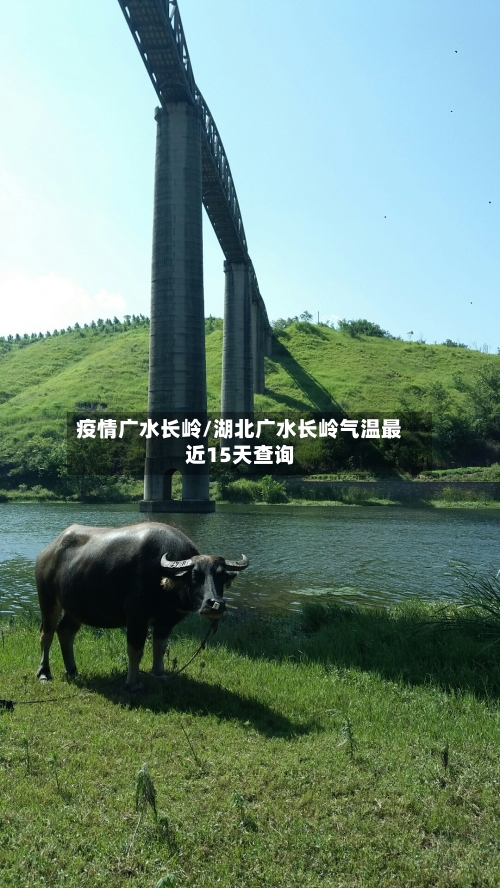 疫情广水长岭/湖北广水长岭气温最近15天查询
