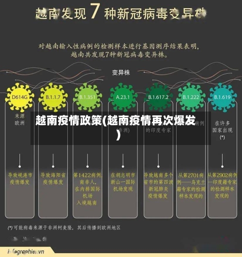越南疫情政策(越南疫情再次爆发)