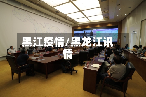 黑江疫情/黑龙江讯情-第2张图片