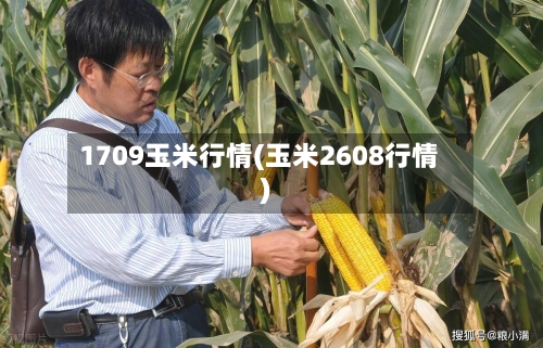1709玉米行情(玉米2608行情)-第2张图片