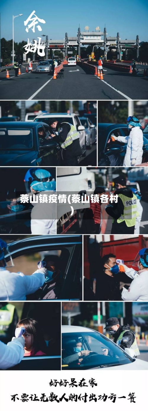 蔡山镇疫情(蔡山镇各村)
