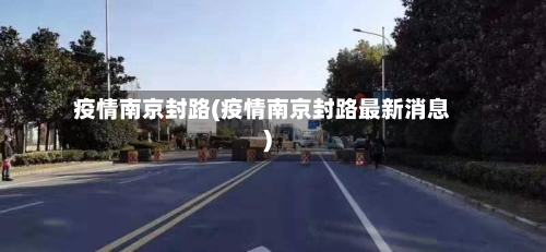 疫情南京封路(疫情南京封路最新消息)-第2张图片