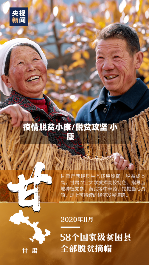 疫情脱贫小康/脱贫攻坚 小康