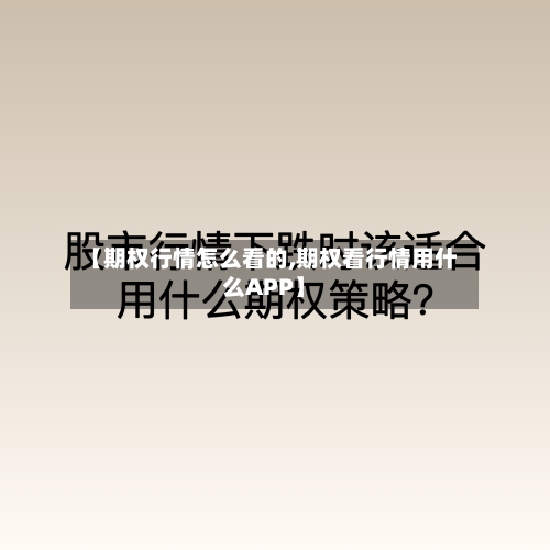 【期权行情怎么看的,期权看行情用什么APP】-第2张图片