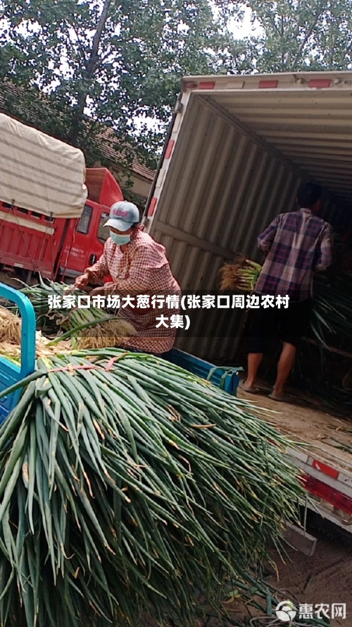 张家口市场大葱行情(张家口周边农村大集)-第2张图片