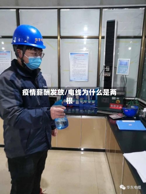 疫情薪酬发放/电线为什么是两根-第2张图片
