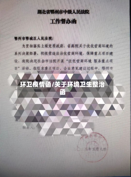 环卫疫情函/关于环境卫生整治函