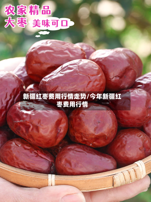 新疆红枣费用行情走势/今年新疆红枣费用行情-第2张图片